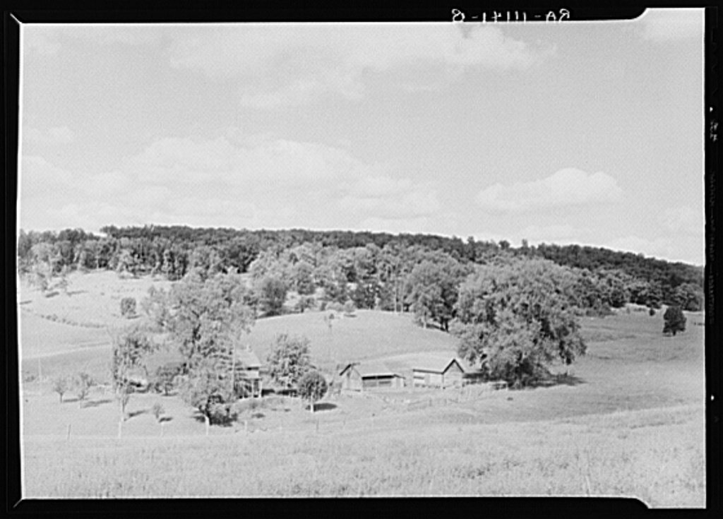 A farmhouse and fields with a woodlot behind, in upstate New York.